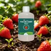 El fabricante suministra una solución nutritiva especial para las 'Bayas del Viejo Ocho' y un fertilizante especial para fresas, que elimina las hojas amarillas y las raíces podridas sin necesidad de dilución