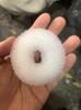 Ventas Directas de Fábrica Nueva Versión Coreana Más Vendido Donut Torcedor de Cabello Moño Rápido Cabeza de Bola Moño Bajo Herramienta de Peluquería para Trenzar