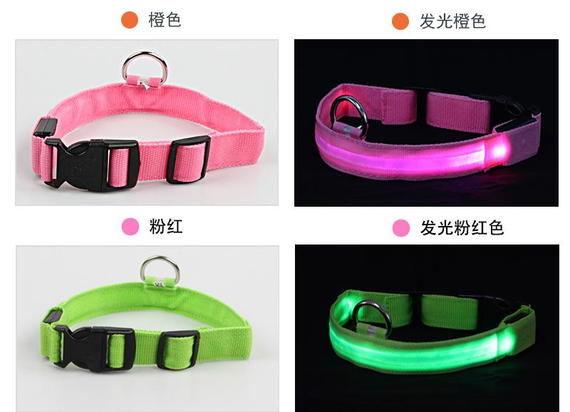 发光项圈