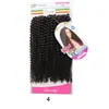 Fábricas Transfronteiriças Europeias e Americanas Fornecem Diretamente Perucas de Crochê Onduladas de Água, Perucas de Dreadlock, Cabelo Passion Twist para a Amazon