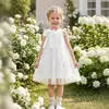 Vestido Bordado Nuevo de Verano para Niñas Fuente de Fábrica Elegante Lazo Vestido de Princesa para Bebé Venta al por Mayor Transfronteriza
