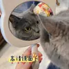 Espejo de Belleza de Gato Kity de Dibujos Animados de Moda Mini Espejo de Tocador Mango Portátil Espejo de Maquillaje para Niñas Gato Kitty