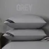 Almohada Acolchada 3D de Algodón y Seda con Plumas de Cielo Estrellado, Nuevo Estilo, para Estudiantes y Adultos, Producto Popular de Transmisión en Vivo, Directo del Fabricante