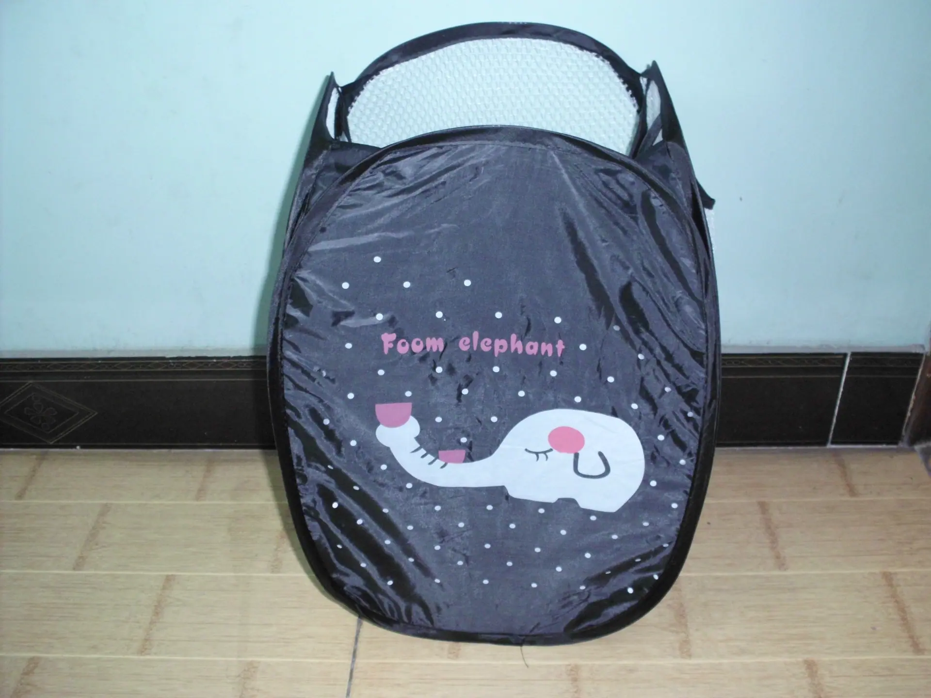 DSCI0060