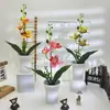 Tres Orquídeas Phalaenopsis con Macetas Altas Abiertas para Fotografía de Bonsái, Accesorios de Plantas en Maceta, Decoración de Hotel para Bodas, Adornos de Flores Artificiales