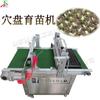 Sembradora automática de tomates y pimientos con detección de inducción fotoeléctrica.