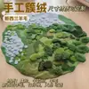 Alfombra de Terciopelo Tufted con Musgo de Bosque Transfronteriza, Alfombra para Mesa de Café de Sala de Estar, Alfombra de Mesita de Noche de Dormitorio, Felpudo Verde Primavera