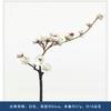 Flores de Wintersweet simuladas, flores de ameixa chinesa, galhos secos, garras de Wintersweet, arranjos de flores falsas, ornamentos de decoração para casa de casamento, atacado faça você mesmo