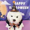 Bufanda de Halloween para Mascotas Nueva Transfronteriza Bufanda de Lazo para Gato Sombrero de Bola de Lentejuelas para Perro Accesorios de Disfraz