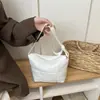 Bolso de mano de cuadros plisados estilo coreano con diseño de nube para mujer, bolso de mano nuevo en colores caramelo, bolsa portátil tipo bollo de algodón espacial