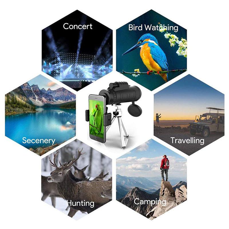 71SG-v+WuLL._AC_SL1000_