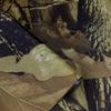 Tafetán de poliéster impermeable 190T camuflaje recubierto de plata tejido impermeable tienda de campaña para exteriores impermeable ligero tejido para ropa de coche