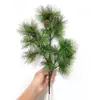 Galhos de pinho com frutos galhos de pinho falsos paisagem de pinho agulhas de pinho pinho negro galhos de cipreste pinho de boas-vindas árvore de Natal cavalinha grande pinho