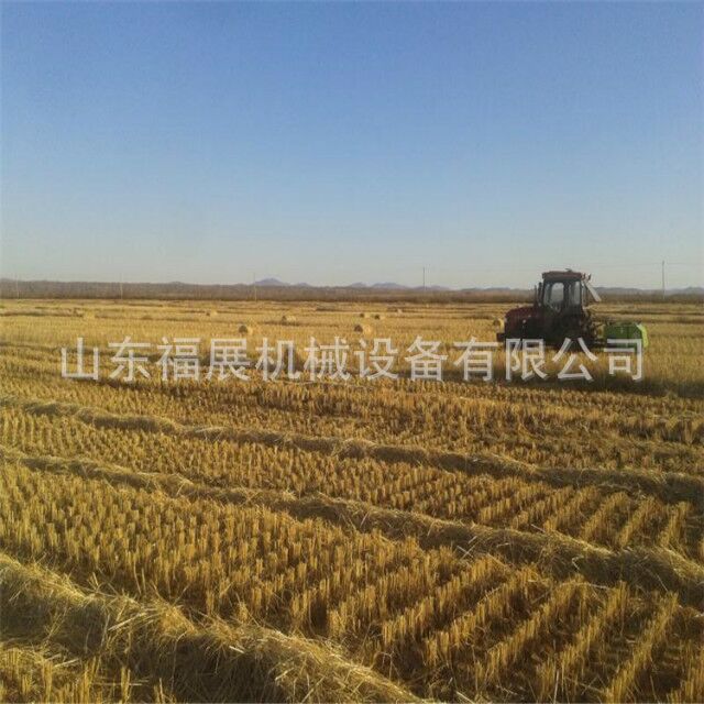 QQ图片20170707164848.jpg