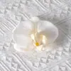 Cabezas de flores artificiales de orquídea mariposa, materiales para flores de pared, materiales para pasadores y accesorios para el cabello hechos a mano para DIY, piezas de flores y accesorios de pétalos para decoración de bodas