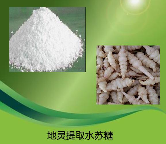 地灵提取水苏糖