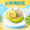 Entrega al por mayor de melón con textura de red Shandong Meilong 3/5/ 4.5 kg melón fragante con textura de helado en cajas coloridas fruta fresca todo el año