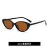 Novos Óculos de Sol Estilo Coreano Cat-Eye com Proteção UV em Estoque para Uso ao Ar Livre, Óculos de Sol Polarizados Tr Modernos e Versáteis