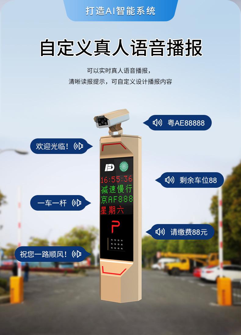 车牌识别详情新款金色_09