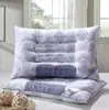 Almohada Magnética de Semilla de Cassia Terapia Magnética para la Columna Cervical Almohada de Salud Núcleo de Almohada Individual Apertura de Seguro Evento de Promoción para Clientes Regalo de Venta