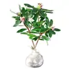 Plantas grandes em vasos com bordas douradas, fragrância forte, com botões florais, adequadas para uso interno e externo, plantas maduras para contemplação das flores, resistentes ao frio, florescem o ano todo