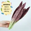 Juguetes Modelo de Verduras Simuladas y Frutas Falsas Adornos de Fotografía de Alimentos para Niños Accesorios de Exhibición Decoración de Habitación Modelo Ventana