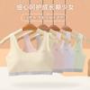 Ropa interior de desarrollo para niñas estudiantes de secundaria y preparatoria. Sujetador para niñas grandes. Chaleco fino sin costuras y con copa fija para la pubertad.