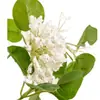 Decoración para el Hogar Nueva Flor Artificial Rama de Osmanthus sin Hojas Accesorio para Fotografía Planta Artificial Flor Falsa Osmanthus Dorado Fragancia de Mil Millas