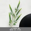 Pico de bambu de galho alto céu estrelado dente-de-leão verde escuro verde claro estilo floresta celebração de casamento decoração marcador de corredor arranjo de flores teto alto material de folha