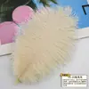 Ventas Directas de Fábrica Grandes Cantidades en Stock Plumas de Avestruz de 15-20cm Plumas para Arreglos Florales de Boda Accesorios para Actuaciones Escénicas