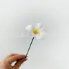 Manzhu Plumeria Gardenia Flor de Jabón Artificial Qixi Regalo para Novia Flor de Verano Ramo de Flores Caja de Regalo Materiales