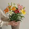 Perfume Importado Lirio Rosa Lirio Planta en Maceta Que Florece en Todas las Estaciones y Es Fácil de Cultivar en Interiores con Capullos y Planta Resistente al Frío Flores