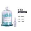 Série Sino Dourado Xiangyu Aromaterapia Pedra Expansível Enfeites Luxo Leve Pedra Expansível Caixa de Presente Acompanhante Enfeites de Pedra Expansível