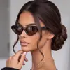 Nuevas Gafas de Sol de Personalidad con Montura Cat-Eye para Mujer, Tendencia Ins, Estilo Callejero Genial, Gafas de Moda, Retro, Sensación de Alta Gama, Gafas de Celebridad de Internet