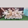 Fila de flores de simulación para boda color champán decoración Wen Xinlan peonía extranjera diseño de auditorio fila de flores para camino venta al por mayor de flores