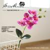 Nueva película de impresión 3D con fruta, 5 flores, orquídea mariposa, suministro directo de fábrica, planta, decoración de interiores, flores falsas