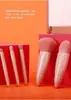 Estuche Portátil Transfronterizo Caja de Maquillaje con Espejo Brocha Multifuncional para Polvos Brocha para Rubor 5 Espejos Caja Belleza Maquillaje