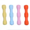 Amazon novo tpr borracha sound stick pet suprimentos resistente a mordida molar treinamento interativo mordida brinquedos atacado