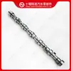 Eixo de Comando de Válvulas do Motor Dongfeng Cummins 6Bt5.9 3929886 3930598