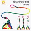 En stock venta al por mayor cuero Taobao clásico transfronterizo correa para mascotas cuerda redonda colorida correa para el pecho y la espalda para perros