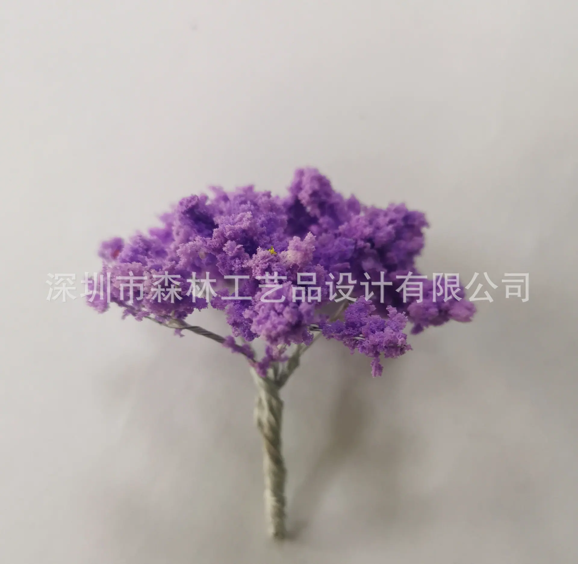 图片20200307104231