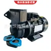 Bomba de Óleo Quente Wuodor Wdrm-15A-200 Elétrica Horizontal Elétrica Condutora de Calor Bomba de Óleo Elétrica 370W Rotor de Cobre