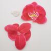Cabeza de flor de Phalaenopsis de 10 cm de diámetro, decoración del hogar, flor de boda, planta de pared, flor falsa, flor seca para boda.
