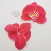 Diámetro 10cm Cabeza de Flor Phalaenopsis Decoración del Hogar Boda Flor de Pared Planta Simulada Flor Artificial Seca Boda Flor de Ramo