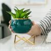 Maceta de Cerámica Creativa con Enchapado de Lujo Ligero Nórdico Transfronterizo, Escritorio de Oficina, Suculenta, Bonsái Pequeño, Venta al por Mayor