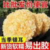 Hongo Blanco Seco de Flor Grande, Hongo Blanco de Gutian, Hongo de Nieve Glutinoso, Sopa de Hongo Blanco con Semilla de Loto, Ingredientes para Restaurantes y Pastelerías, Suministro Directo desde el Lugar de Origen