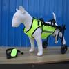 Explosiones Transfronterizas Carrito para Mascotas Rehabilitación de Perros Caminata Asistida Inconveniente para Caminar con las Patas Traseras Vehículo Auxiliar