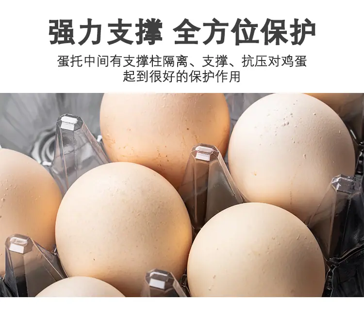详情_11