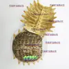 Materiais Medicinais Chineses Autênticos de Casco de Tartaruga, Casco de Tartaruga Cru, Casco de Tartaruga, Casco de Tartaruga, Tampa de Tartaruga, Casco de Tartaruga, Pó de Casco de Tartaruga, Casco de Tartaruga para Moxabustão