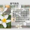 Extrato Vegetal Puro Natural Flor de Laranjeira Amarga Óleo Essencial Simples Aromaterapia Matéria-Prima Essência Aromática Hidratante Cuidados com a Pele Salão de Beleza